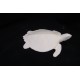 Wasserschildkröte M