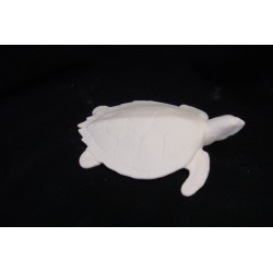 Wasserschildkröte M