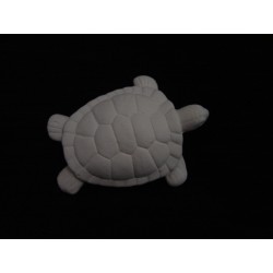 Wasserschildkröte klein